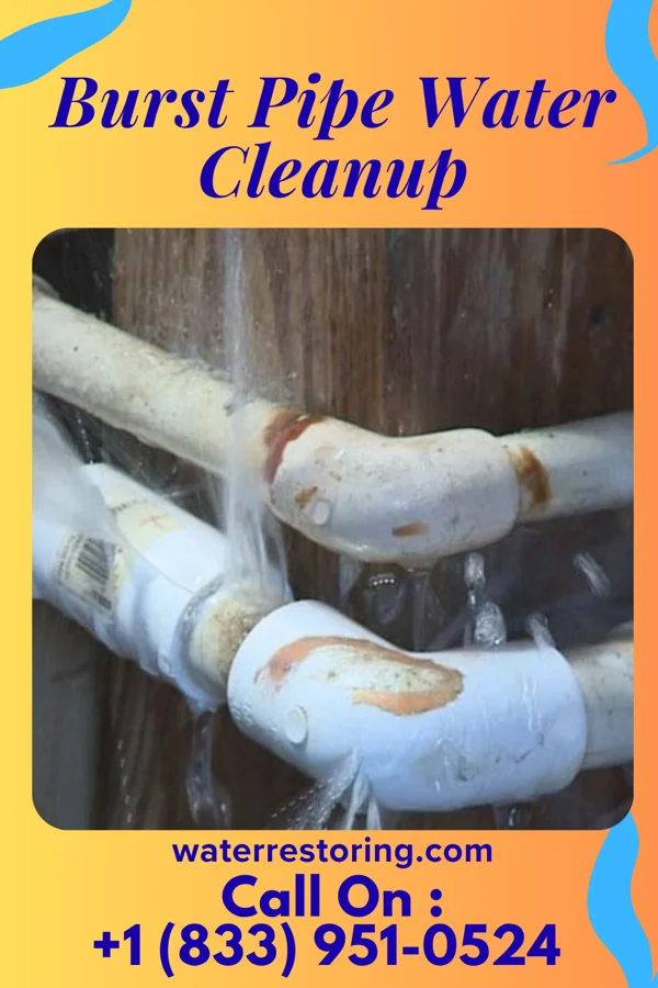 Burst Pipe Water Cleanup in Blackburn, MO